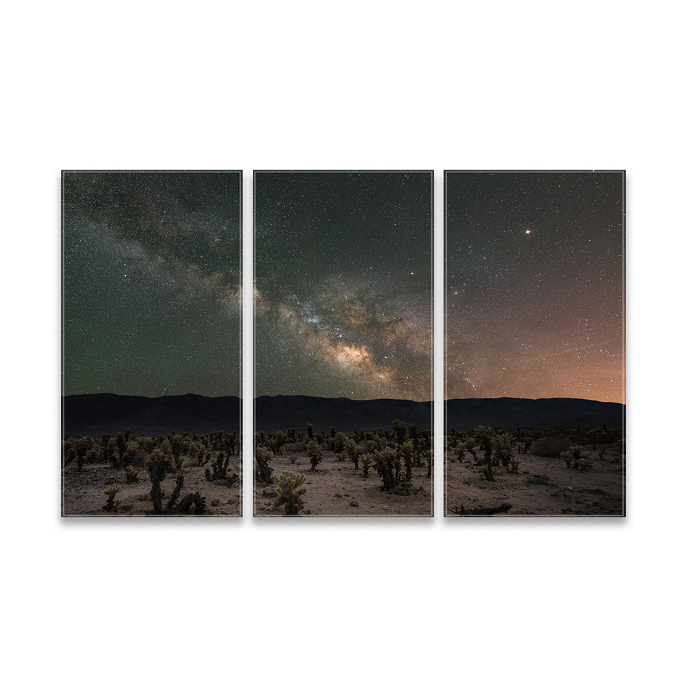 24" x 36" Triptych Panel Art
