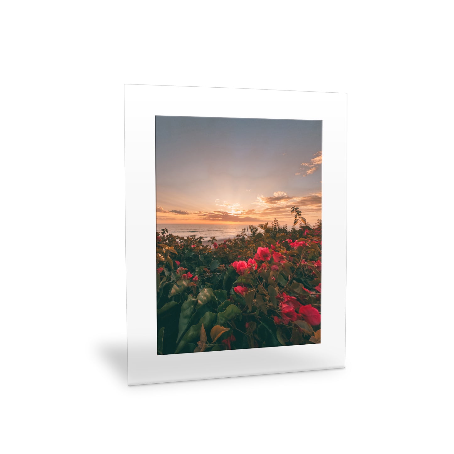 16" x 20" Clear Frame Wall Art